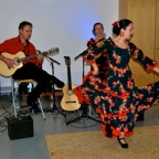 Flamencogitarre